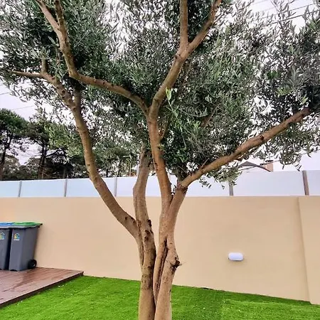 Com Piscina * וילה נובה דה גאיה