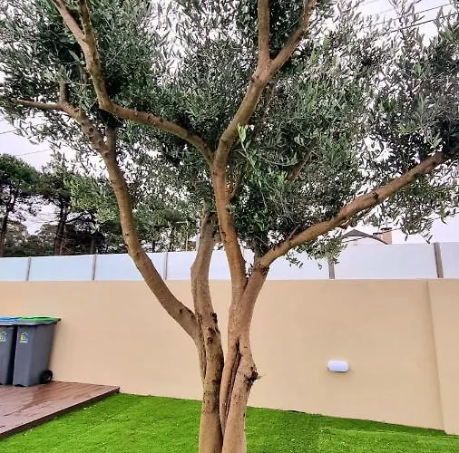 Com Piscina * Vila Nova de Gaia